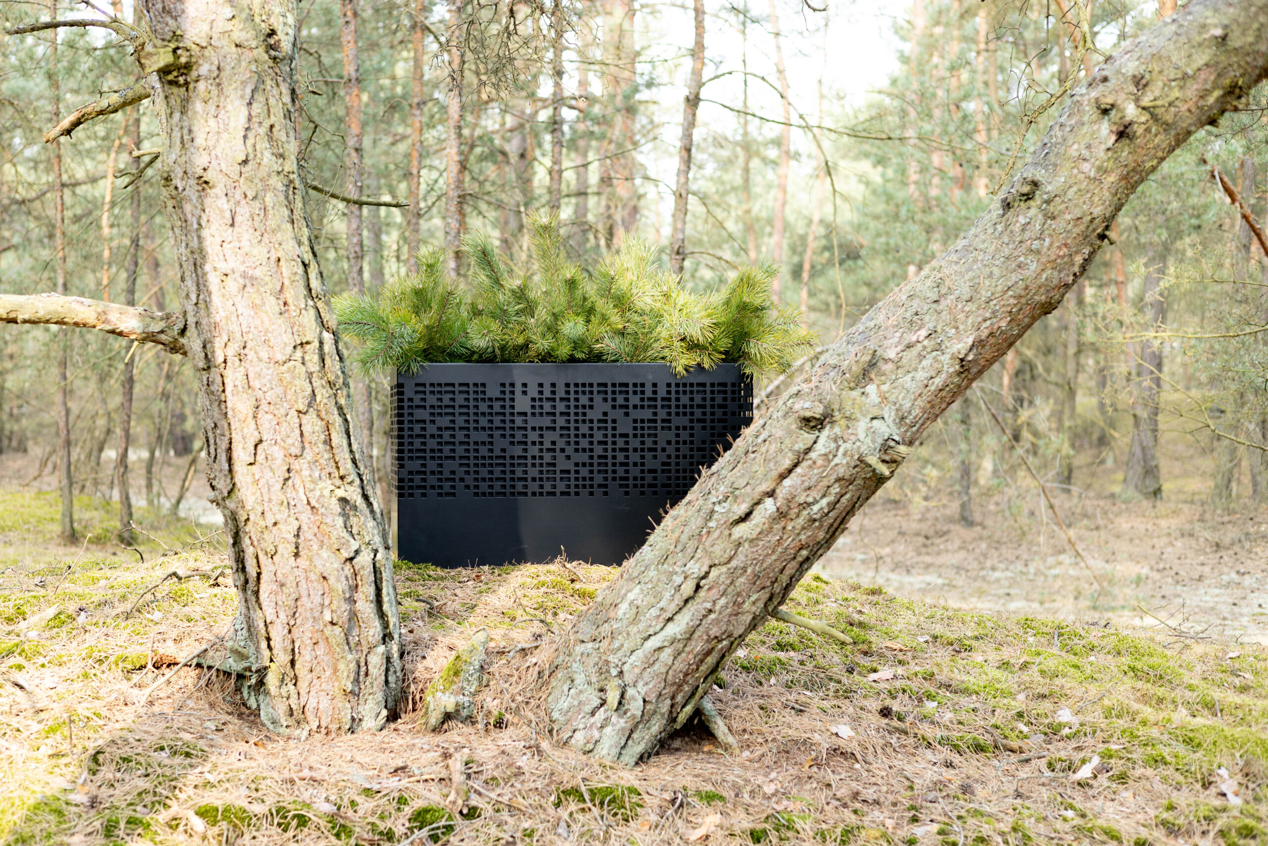 Donica MONO 60 - obrazek 2