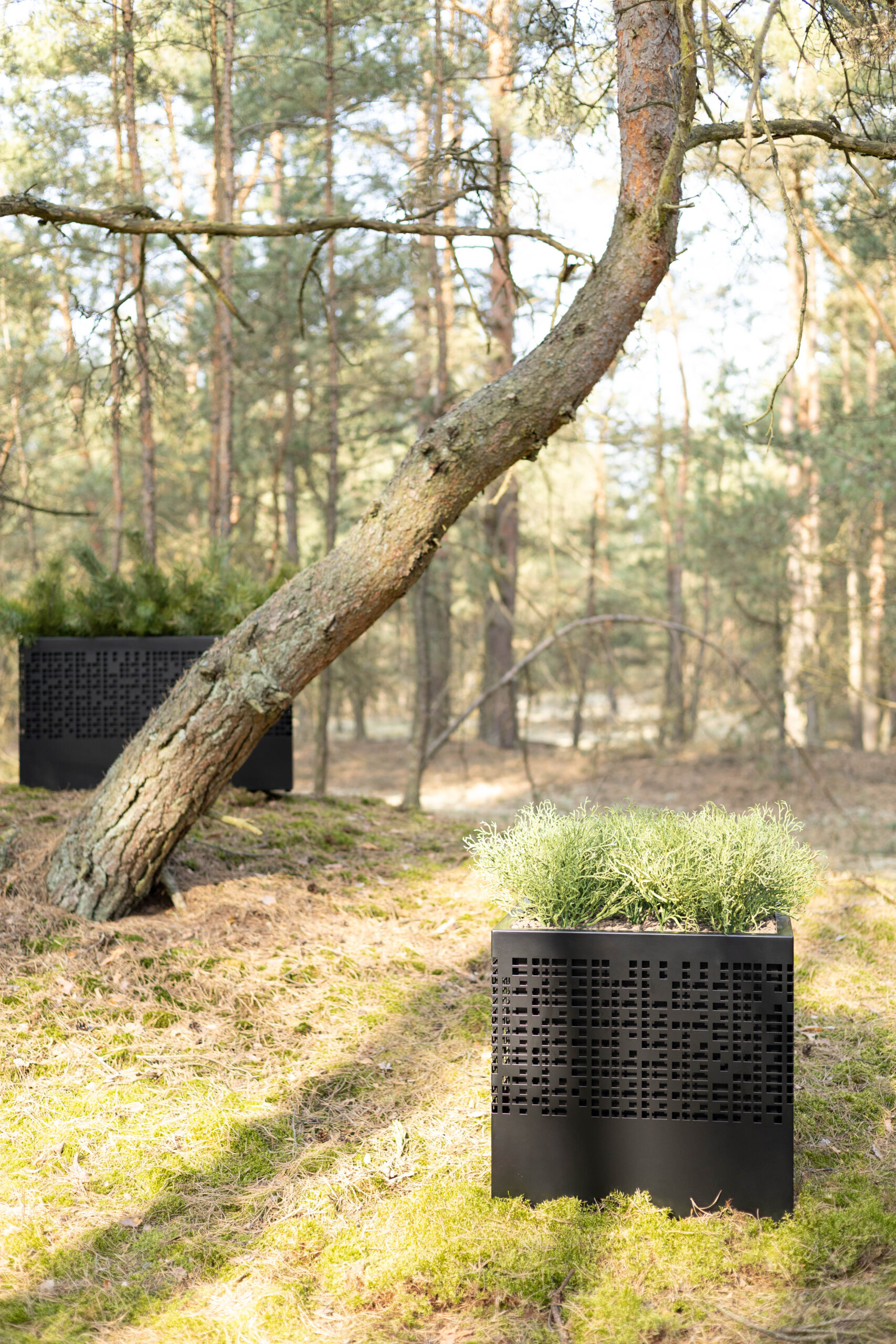 Donica MONO - obrazek 2