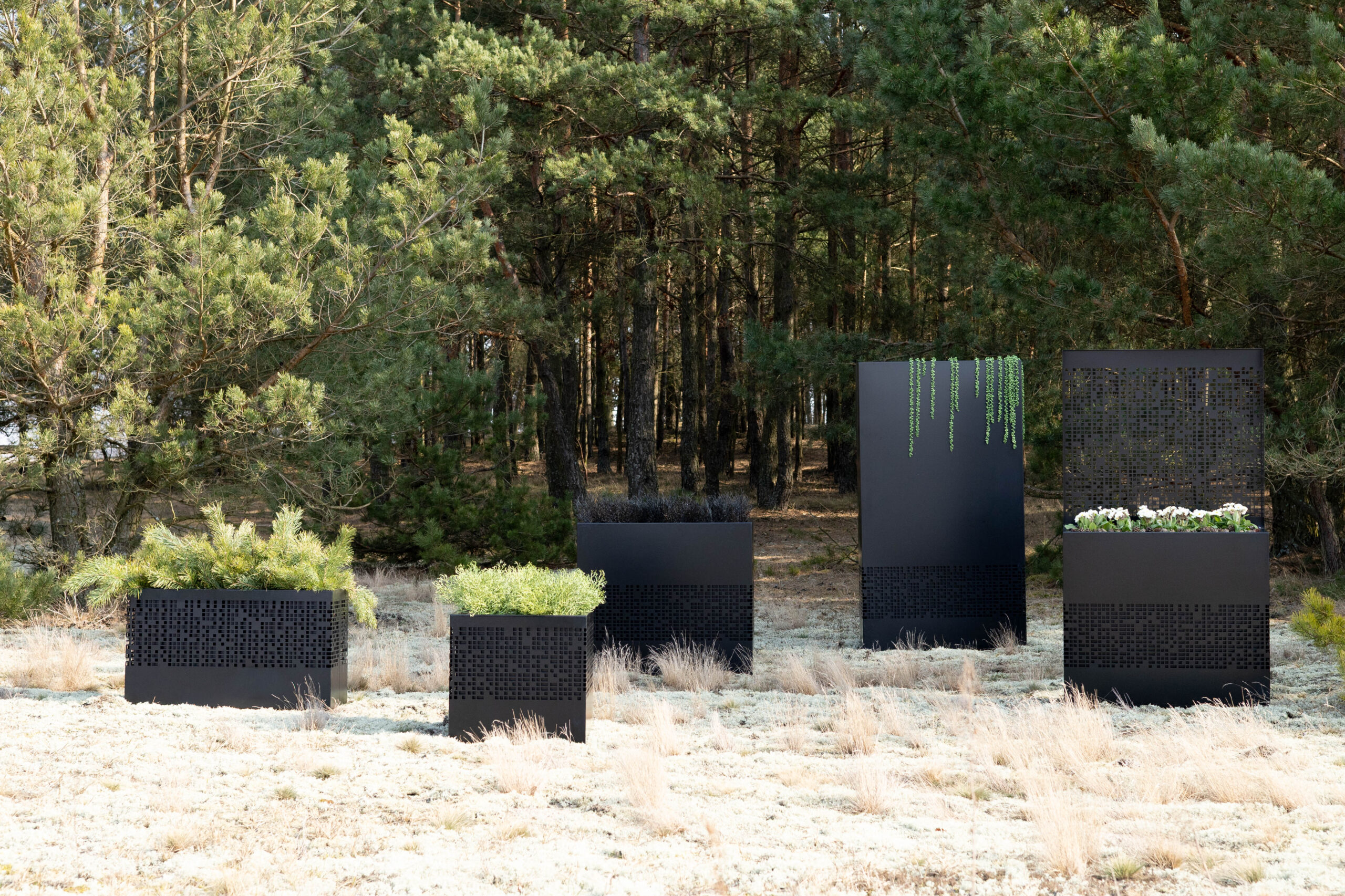 Donica MONO - obrazek 3